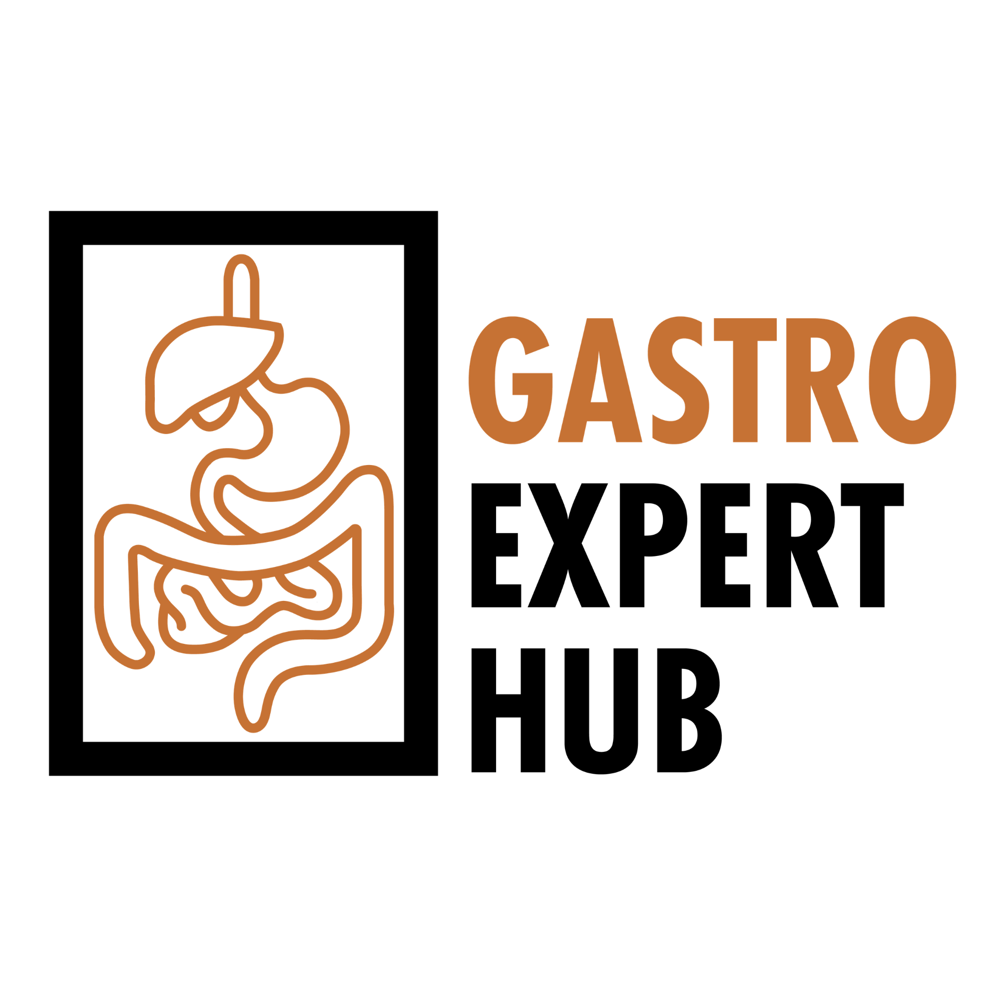 GastroExpertHub